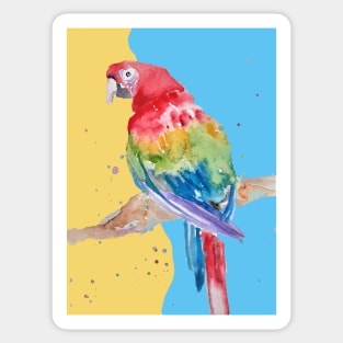 Parrot Watercolor Painting Macaw - on blue and yellow Sticker